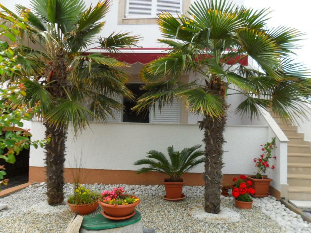 Apartman Kartec *